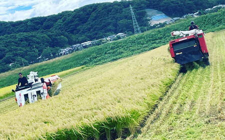 【令和7年産米】空舞米 新潟県村上市岩船産 コシヒカリ 精米 6kg　A4148