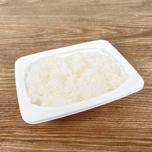 【低たんぱく質食品】【3ヶ月定期便】 1/25 越後ごはん 180g×20個×3回 たんぱく質調整食品 バイオテックジャパン 越後シリーズ 1V53051