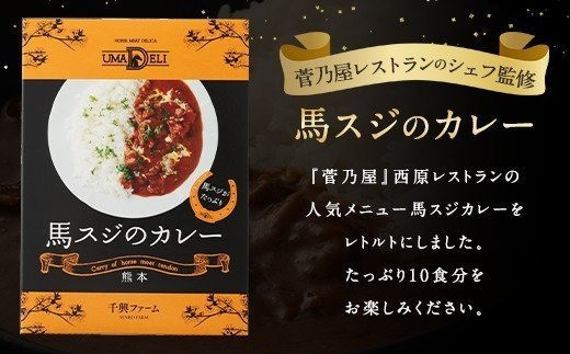 馬スジの カレー 10食 セット 計2.1kg