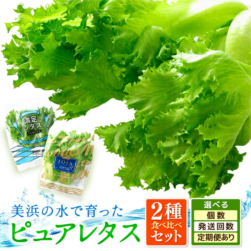 【ふるさと納税】美浜の水で育った ピュアレタス【選べる内容量／発送月】 低カリウムレタス&フリルレタス【栽培期間中 農薬不使用 野菜 生野菜 レタス 詰め合わせ サラダ サンドイッチ お弁当 水耕栽培 洗わず食べられる 時短 ダイエット ヘルシー】お買い物マラソン