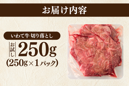 ＼9ヶ月連続 定期便／ 牛肉 切り落とし 肉 小分け 真空冷凍 いわて牛 250g (総計 2,250g) 岩手県産 和牛 牛肉 黒毛 和牛 切り落とし肉 大容量 肉 すき焼き 肉じゃが 煮込み 煮物