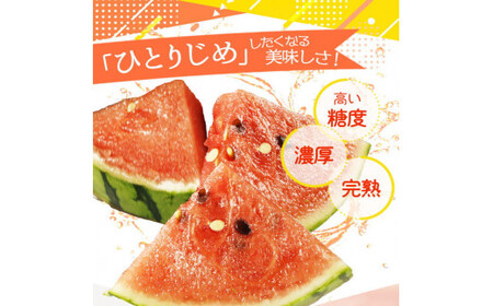 紀州和歌山産 小玉スイカ「ひとりじめ」 1玉	【2024年6月上旬以降発送】