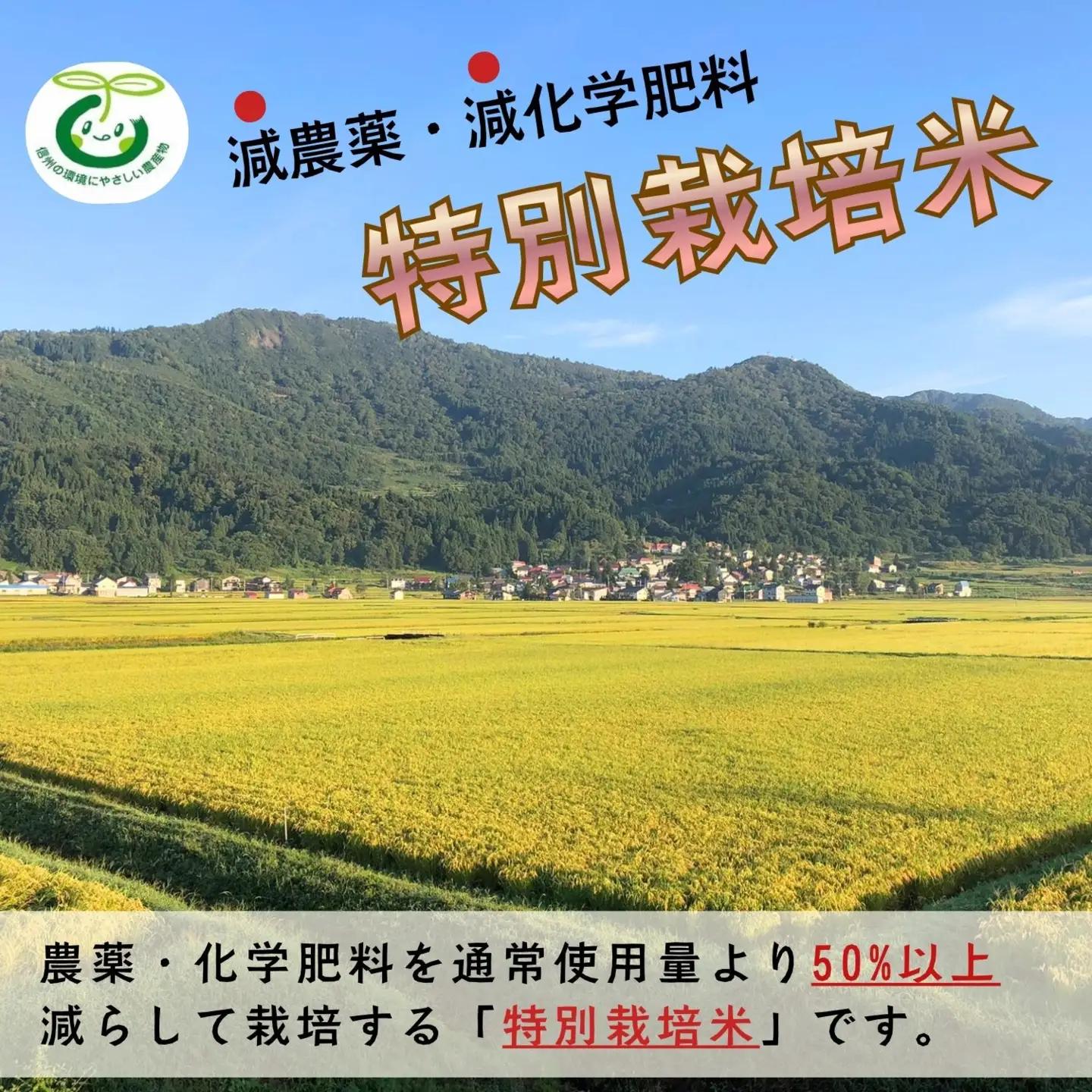 【新米予約】《定期便》＼ 2026年10月より6回 ／  特別栽培米 「かまくらの里 コシヒカリ」 10㎏ 6回