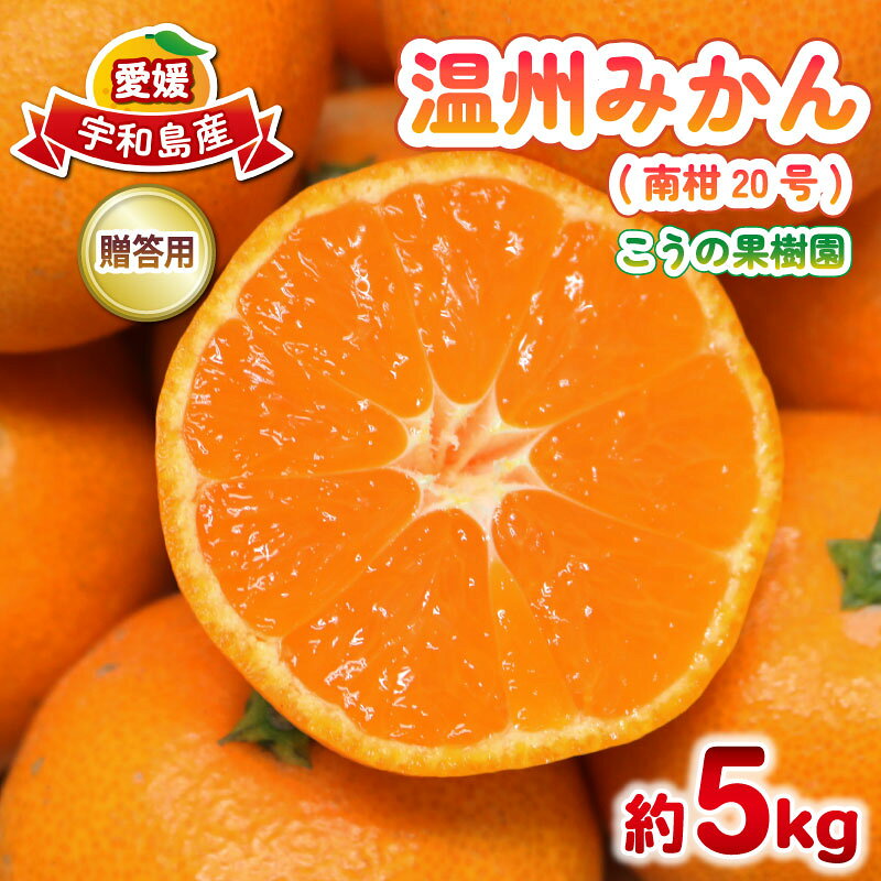 【ふるさと納税】 贈答用 南柑20号 みかん 5kg M～L サイズ こうの果樹園 温州みかん 温州 愛媛みかん 愛媛蜜柑 愛媛ミカン うんしゅう みかん ミカン 蜜柑 mikan 果物 フルーツ 柑橘 甘い 甘味 産地直送 農家直送 数量限定 国産 愛媛 宇和島 B010-182010