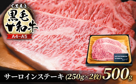 牛肉 A4〜A5 くまもと 黒毛和牛 サーロイン ステーキ 牛肉【500g(250g×2枚)】