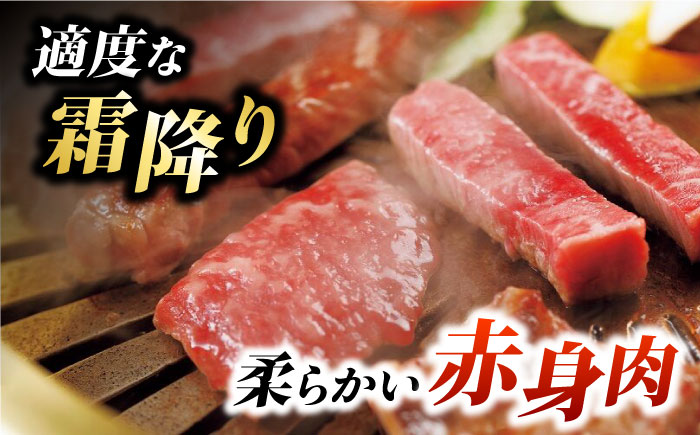 【6回定期便】くまもとあか牛 サーロイン ステーキ 約200g(約200g×1)【有限会社スイートサプライなかぞの】 [ZBV057]