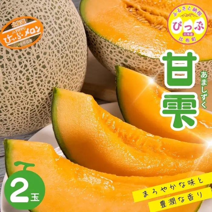 【2026年8月下旬発送】ぴっぷメロン「甘雫（あましずく）」 2玉 約3kg【菅原農産】メロン めろん 果物 くだもの フルーツ 赤肉 旬 お取り寄せ 北海道 比布町 ぴっぷ 1007-001