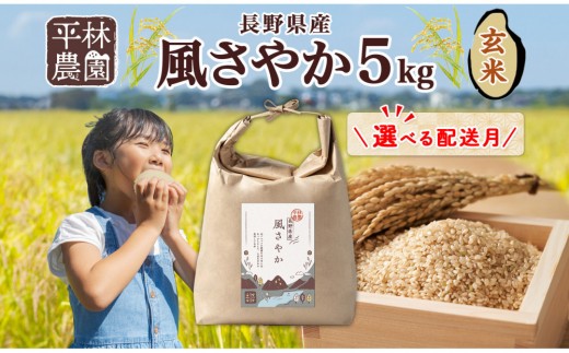 
                  【選べる配送月】令和8年産 風さやか 玄米 5kg×1袋 長野県産 米 お米 ごはん ライス 低GI 甘み 農家直送 産直 信州 人気 ギフト お取り寄せ 平林農園 送料無料 長野県 大町市
                