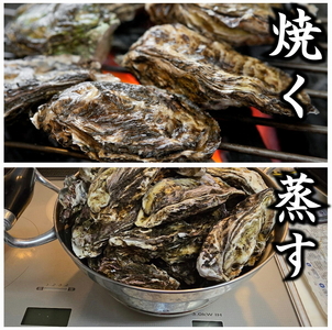 【発送時期が選べる】盛ちゃん（湯田水産） 能登牡蠣 殻付き 半缶（35個前後） 約5.5kg 加熱用 | 牡蠣 ※2027年2月～発送