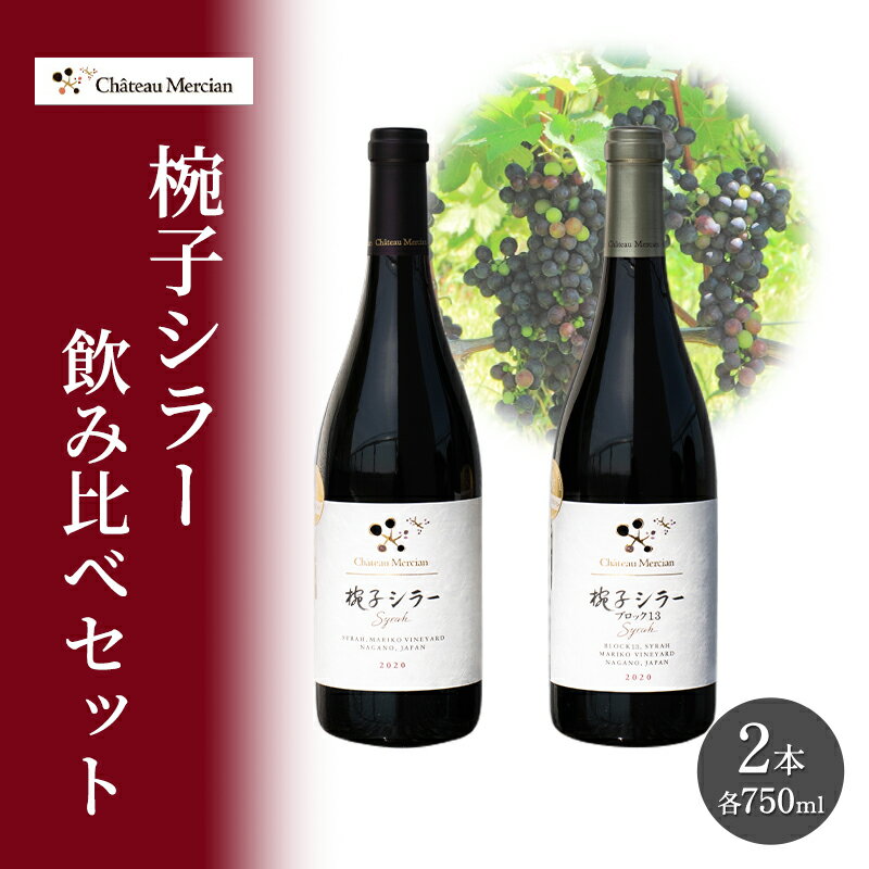 【ふるさと納税】ワイン 椀子シラー 飲み比べ 750ml 2本 セット 赤ワイン お酒 酒 アルコール