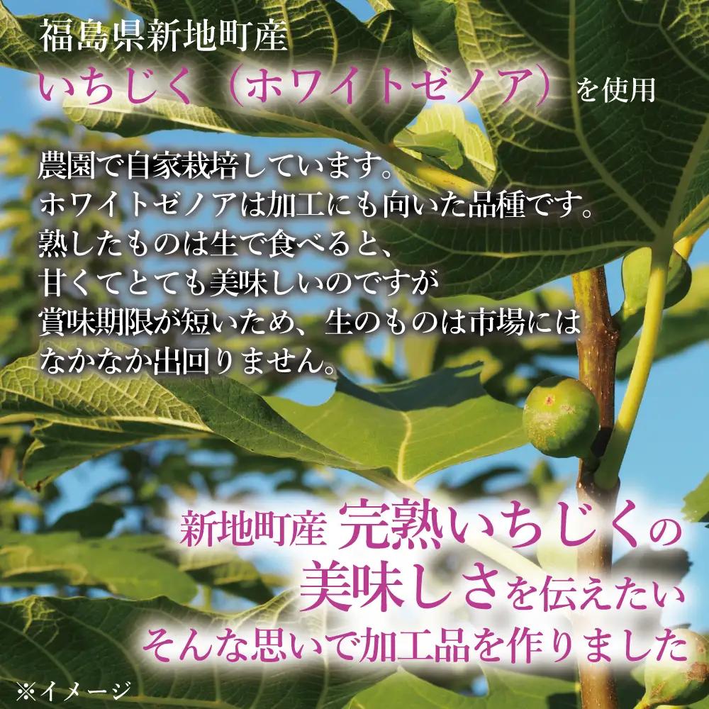 福島県新地町産いちじくセミドライフルーツ　50g×2袋セット　合計100g