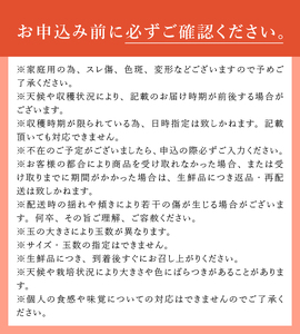 【2026年先行予約】【訳あり】シナノゴールド5kg(14個～16個） りんご 山梨県産  期間限定 家庭用 規格外 フルーツ 果物 果実 山梨 北杜市 [h301]