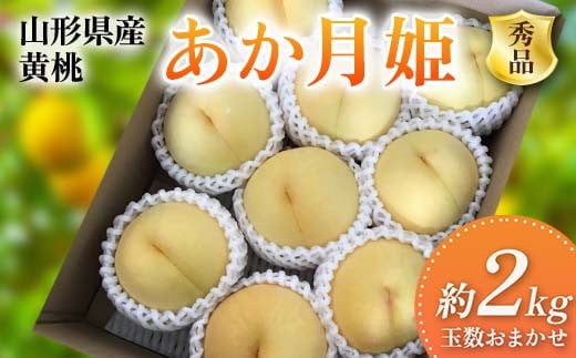 《2025年先行予約》 山形県産 黄桃 ＜あか月姫＞ 秀品 約2kg 玉数おまかせ FSY-2011