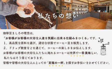 【向島の珈琲豆焙煎所】スペシャルティコーヒー詰め合わせ１