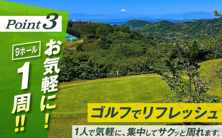 日曜大人2名最終スタートゴルフプレー券【(株)葉山産業】[ASAS009]