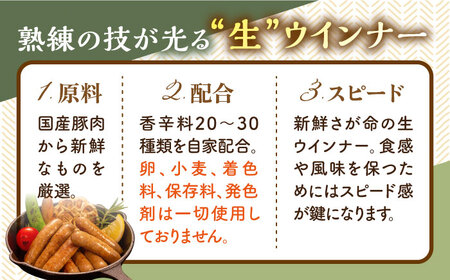 【全12回定期便】生ウインナー 30本 (5本×6種) 糸島市 / 志摩スモークハウス [AOA025] 詰め合わせ ギフト お歳暮 ソーセージ 生ハム ウインナー ハム
