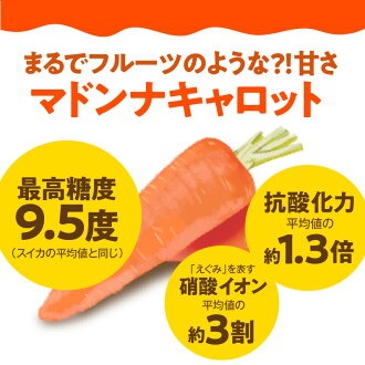 【期間限定】訳あり！こどもも食べられる甘み！「マドンナキャロット」 10kg 大容量 にんじん 人参 ニンジン 野菜 やさい 国産 碧南市 健康 食品ロス削減 甘い 先行予約 旬 特産 高評価 高リピ