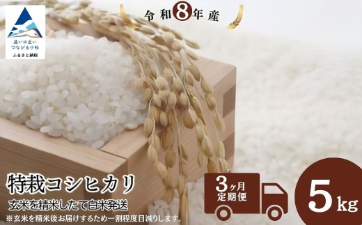 令和8年産 新米 【3回定期便】 特栽コシヒカリ 精米 白米 （玄米5kgを精米したて白米発送） こしひかり | 石川県 小松市【のむら農産】