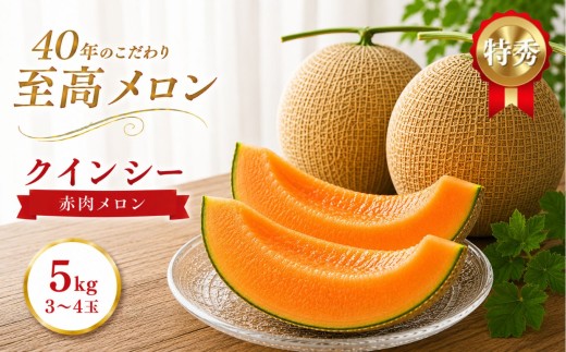 クインシー 3〜4玉（合計約5kg） | 2027年 先行予約 メロン 完熟 果物 フルーツ ギフト  デザート  栃木県 真岡市 送料無料