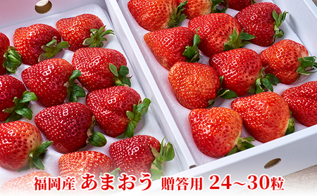 いちご あまおう 贈答用 24～30粒 いちご 果物類