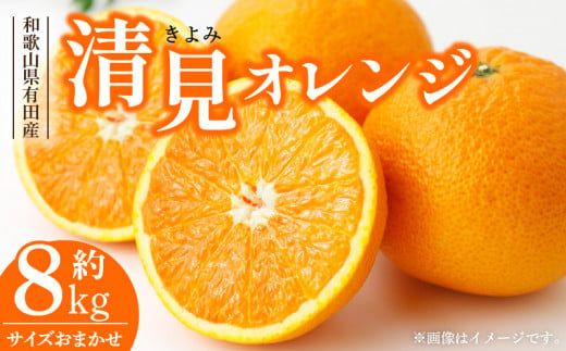 V7414_清見オレンジ[約8kg]和歌山県有田産 春みかん (果実サイズおまかせ) 春みかん 紀伊国屋文左衛門本舗 ※日時指定不可