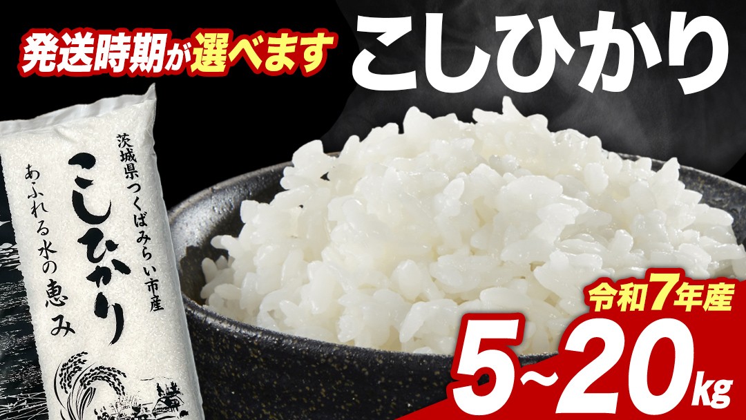 
                  【 発送時期指定 】 コシヒカリ 5kg 10kg 15kg 20kg 令和7年産精米 ＜ 数量限定 ＞ 茨城県つくばみらい市産 米 コメ 単一米 茨城県産 国産 発送 コスパ こしひかり
                