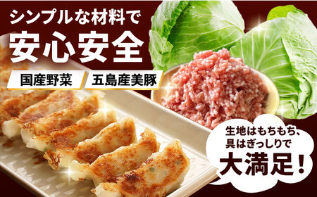 【全12回定期便】美豚餃子15個入×3袋 豚肉 SPFポーク 小分け 国産野菜 冷凍 五島市/長崎フードサービス [PEL012]