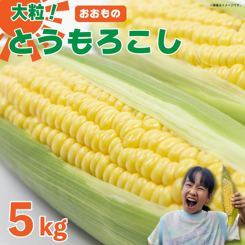 【ふるさと納税】 とうもろこし 5kg スイートコーン おおもの コーン 甘い 野菜 採れたて 夏野菜 ポタージュ スープ サラダ おやつ おかず 数量限定 朝採れ 高糖度 産地直送 期間限定 先行予約 新鮮 コーン 旬 サラダ 徳島県 阿波市
