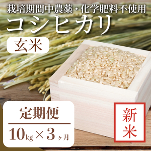 【定期便3回】 新米 玄米 コシヒカリ 計30kg 10kg×3回 定期便 栽培期間中無農薬 ｜ 徳島県 ふるさと納税 新生活 四国 徳島 小松島 新生活 おいしい お米 米 こめ おこめ 国産 限定 ごはん ご飯 ゴハン ふるさと ランキング 人気 安全 安心 栄養 おすすめ 送料無料 国産 TKG 卵かけご飯 おにぎり おむすび いのち育む田んぼ米 生物多様性 【北海道･沖縄･離島への配送不可】 玄米 コシヒカリ 玄米 コシヒカリ 玄米 コシヒカリ 玄米 コシヒカリ 玄米 コシヒカリ 玄米 コシヒカリ 