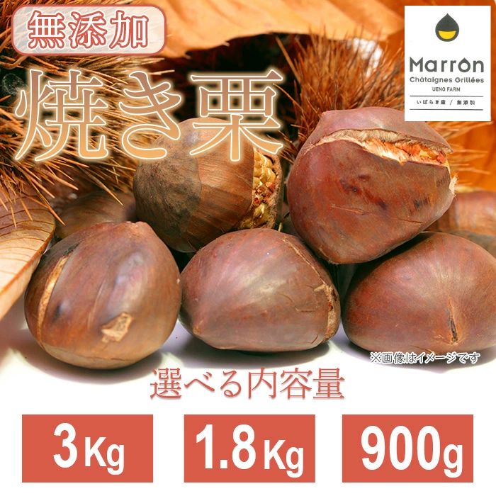 【ふるさと納税】栗 くり 焼き栗 無添加 内容量が選べる 900g 1.8kg 3kg 茨城県産 国産 小分け 低温熟成 数量限定 茨城県産焼き栗【ウエノファーム】