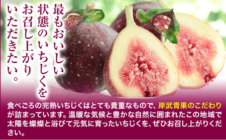 【先行予約】いちじく イチジク 約1.2kg  岸武青果株式会社