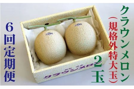 【毎月定期便】クラウンメロン 規格外大玉2玉 全6回 6224