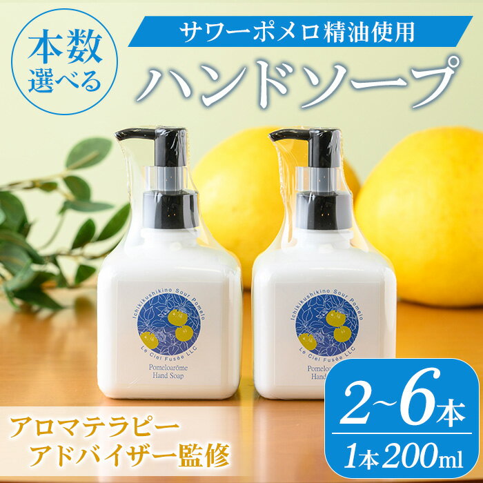 【ふるさと納税】＜本数選べる＞サワーポメロハンドソープ (200ml×2本/6本) いちき串木野市 ルシエルフュゼ サワーポメロ 柑橘 大橘 みかん ハンドソープ 手洗い 液体せっけん 泡 衛生 洗浄 ハンドケア 肌 香り アロマ 精油 エッセンシャルオイル【LeCiel+b2-cafe】