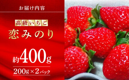 【先行予約】 高級いちご恋みのり約400g(200g×2)有機栽培いちご苺ストロベリーZBB001