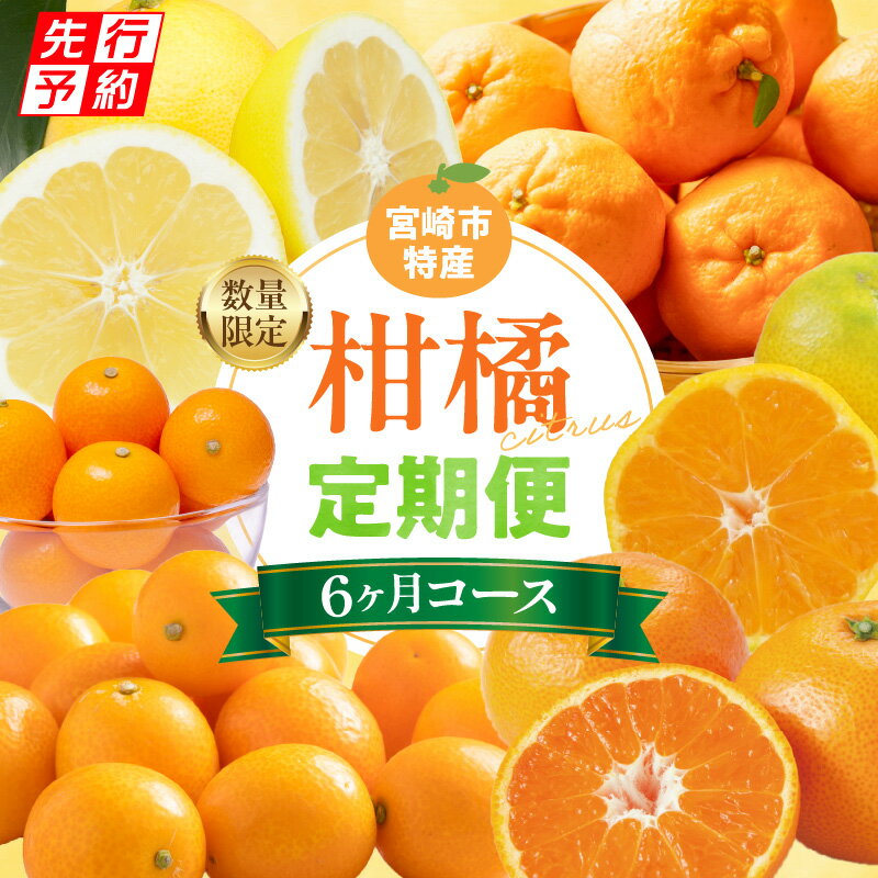 【ふるさと納税】《先行予約》【期間・数量限定】【定期便】宮崎市柑橘特産6ヶ月コース 柑橘 柑橘類 果物 フルーツ 果物定期便 フルーツ定期便 宮崎県産 特産 名産 早生みかん みかん ぽんかん きんかん きんかんたまたま きんかんたまたまエクセレント 日向夏 種無し日向夏