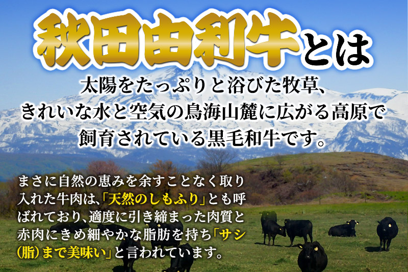 秋田由利牛の手づくりハンバーグと秋田米セットB（ハンバーグ150g×5パック 米1合×4パック）