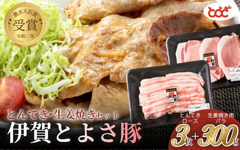 【ふるさと納税】 農水大臣賞受賞 伊賀とよさ豚 とんてき・生姜焼きセット