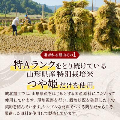 ふるさと納税 山形市 やまがた玄米パックごはん 150g×9個  (つや姫) ラベルレス FZ25-170 |  | 01