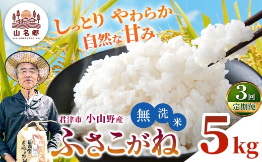 【 定期便 3回 】 無洗米 令和8年産 君津市小山野産 ふさこがね 5kg 3回 | あかかげ農園 千葉稲作 むせんまい フサコガネ 千葉県産 むせんまい 米 コメ こめ お米 千葉県 君津市 きみつ