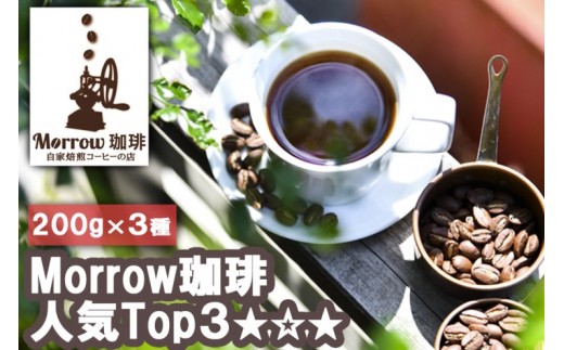 珈琲 元珈琲嫌いの店長が送る 自家焙煎 Morrow珈琲 人気TOP3 セット 200g×3種：粉