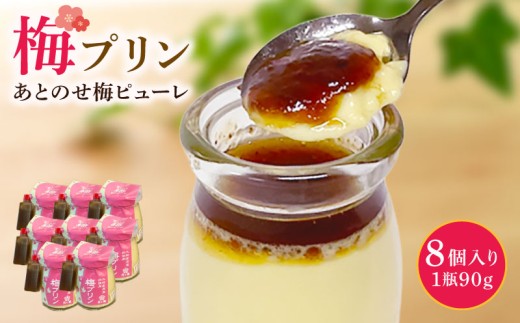 プリン 梅プリン 90g×8個入 自家製プリン スイーツ 洋菓子 デザート お菓子 おかし おやつ デザート ギフト プレゼント 贈り物 梅 うめ 大和高原産 なめらか 卵 たまご 甘い 特製 梅ピューレ 株式会社 小谷商店 月ヶ瀬 奈良県 奈良市 なら kyt01