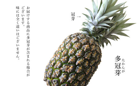 パイナップル TADAO GOLD 4～8玉 約9kg（多冠芽含む）