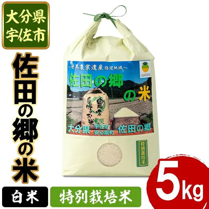 ＜新米・令和7年産＞佐田の郷の米 特別栽培米(5kg)お米 白米 ごはん ヒノヒカリ ひのひかり ブランド米 常温 常温保存【111700704】【雅設置プロジェクト　佐田の郷の会】