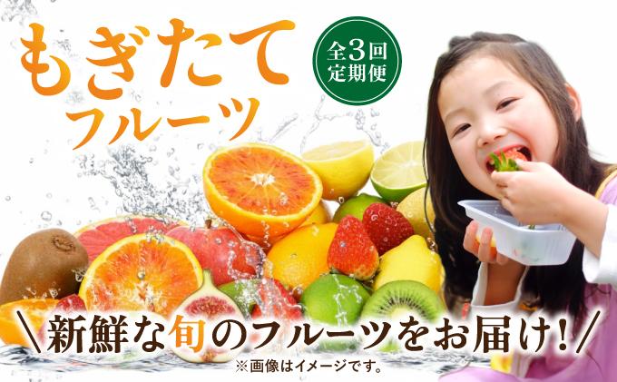 ＜定期便・全3回＞九州・福岡もぎたて フルーツ定期便 A