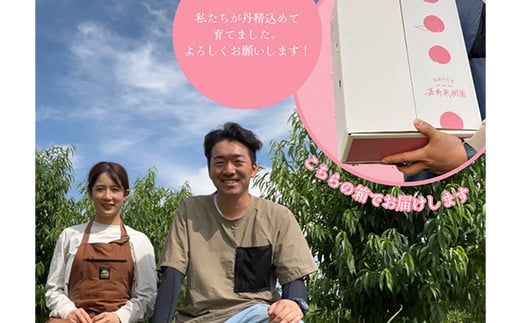 ＜先行受付＞ 嘉斎果樹園の桃「川中島白桃」約3kg（8～11個
