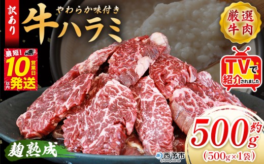 TVで紹介！＜麹熟成で旨み引き立つ！やわらか味付き 牛ハラミ 約500g（500g×1）＞ テレビ TV 訳あり はらみ ハラミ 赤身 大容量 牛肉 お肉 焼肉 BBQ 味付き 麹 コスパ 塩味 レシピ 丼 献立 惣菜 おかず 簡単 グルメ 株式会社丸和 愛媛県 西予市【冷凍】『最短10営業日以内に順次出荷』