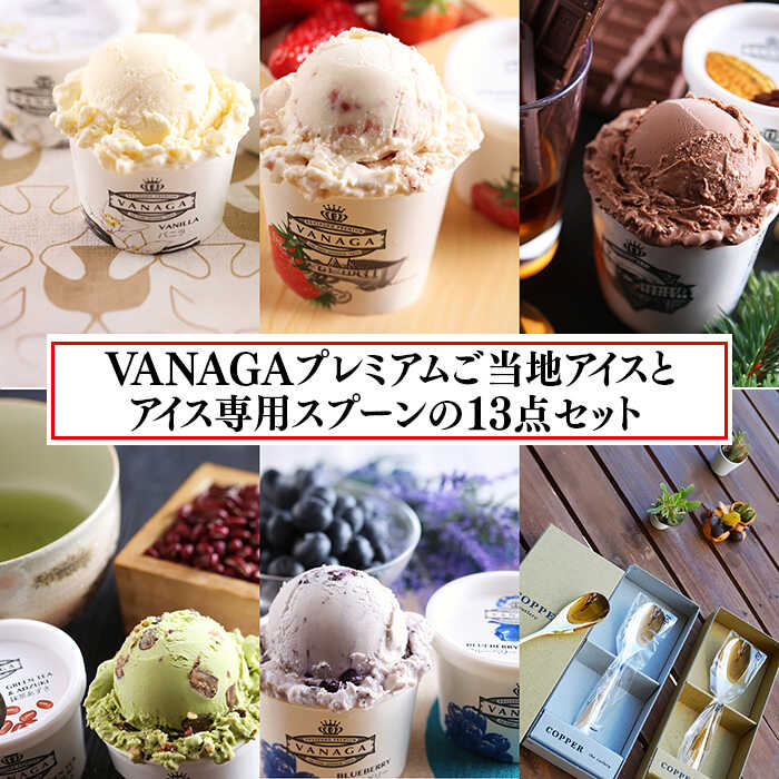 【ふるさと納税】VANAGAプレミアムご当地アイス12個とアイス専用スプーン（シルバー1本）の13点セット | アイスクリーム アイス 濃厚 バニラ デザート 島根県雲南市/やまざと.com[AICN002]