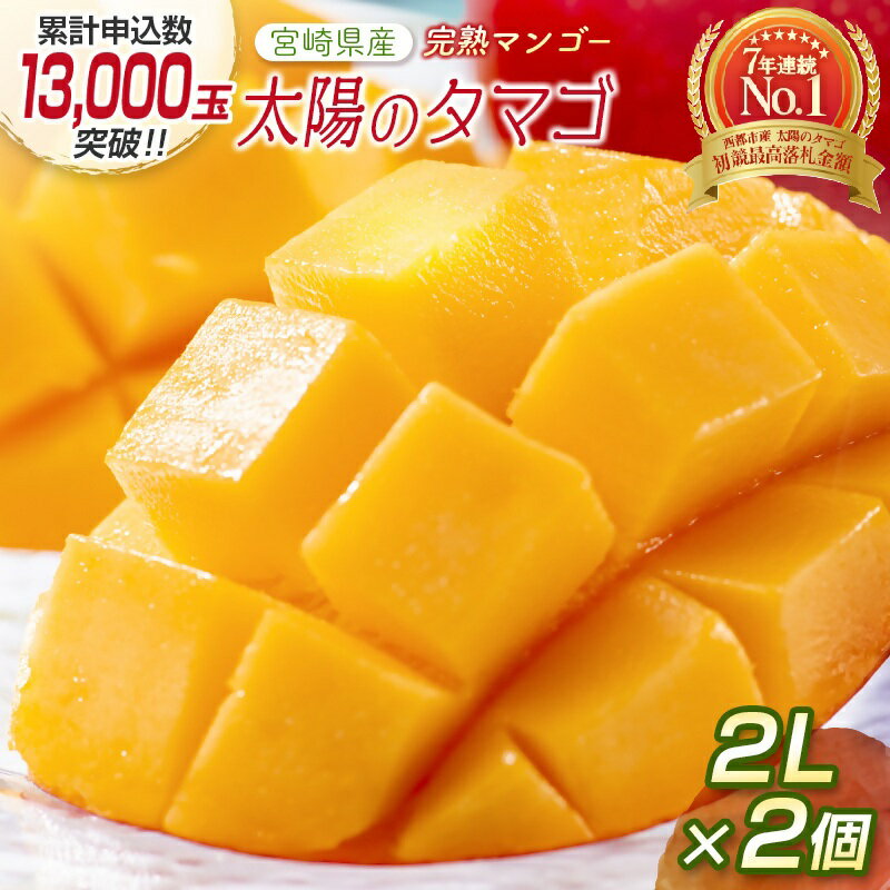 【ふるさと納税】宮崎県産 完熟マンゴー『太陽のタマゴ』2L×2個 西都市特産品【数量限定】 西都市産＜2-76＞人気 さいと サイト ふるさと 先行予約 果物 フルーツ