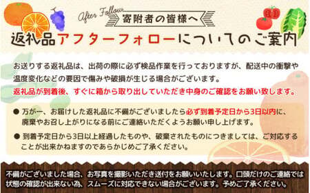 【11月中旬頃より順次発送】大文字りんご園 大夢（おおゆめ）約3kg (7～10玉)/   リンゴ【dma513-l-oy-3C】