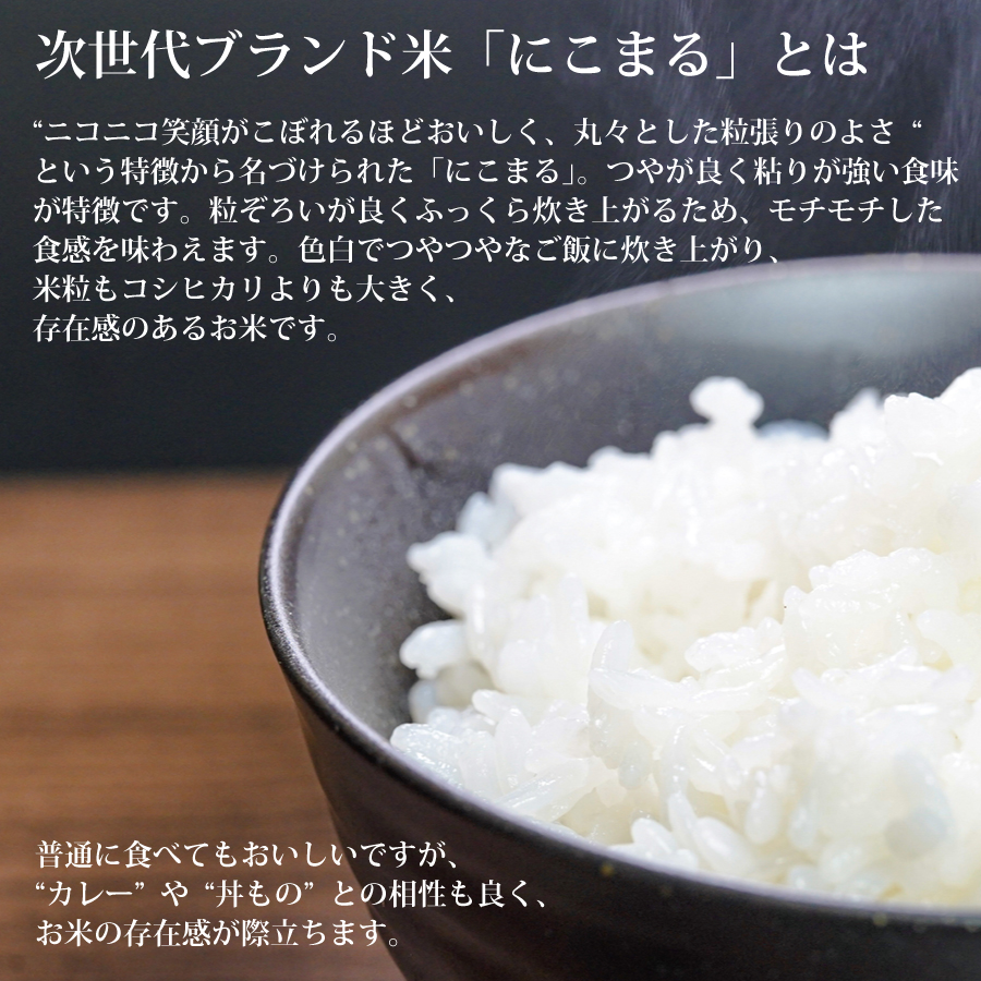 棚田栽培 にこまる 10kg